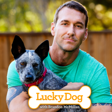 Lucky Dog with Brandon McMillan