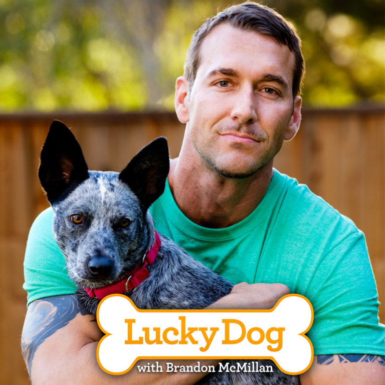 Lucky Dog with Brandon McMillan – The Emmys