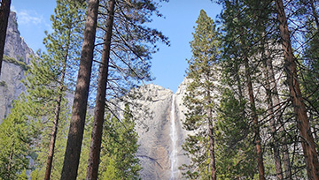 021-Nature-Yosemite