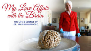 My Love Affair with the Brain: The Life and Science of Dr. Marian Diamond