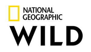 Nominees – 2019 News & Documentary Emmy® Awards